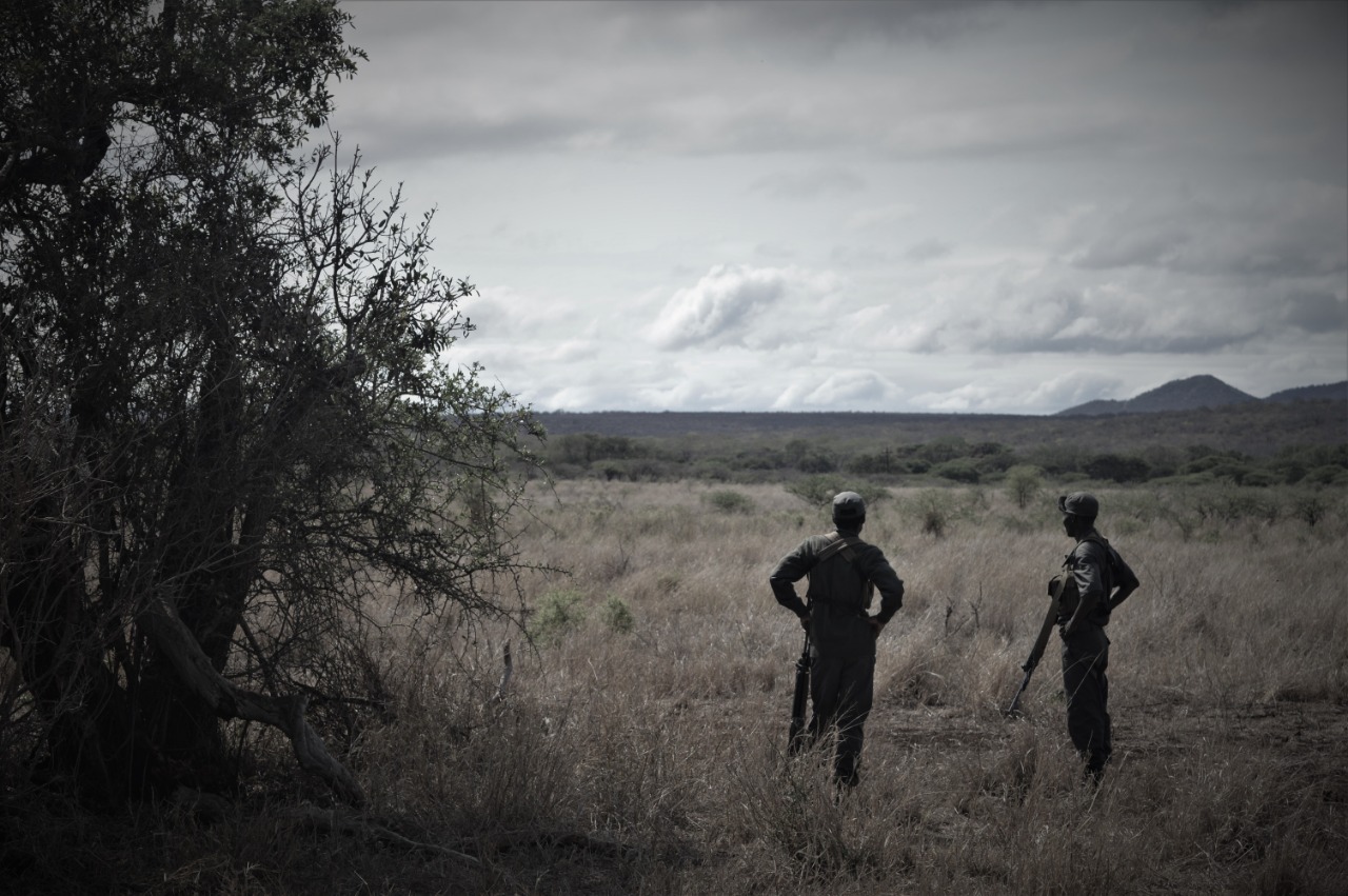 R1 a day to protect our Wildlife Rangers